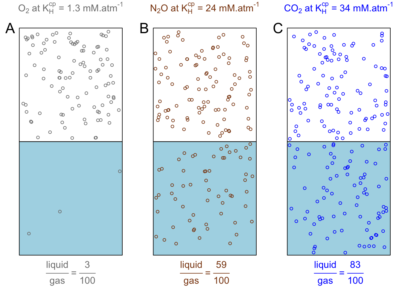 Visual and liquid:gas proportions of the number of moles in the gaseous phase of one liter of gas at 1 atm overlying one liter of water, for O~2~, N~2~O, and CO~2~ gases, using the respective Henry's solubility constants at 25°C. Blue rectangles represent one liter of water in equilibrium with one liter of pure gas (overlying white rectangle). There are 100 circles in the white rectangle representing the 40.9 mmol.L^-1^ of gases present in 1L at 1 atm at 25°C. The number of circles in the blue rectangles represent the respective and corresponding number of moles per liter of water