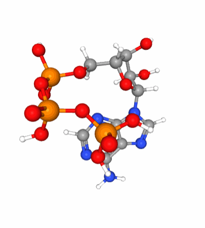 A 3D view of the ATP molecular structure. Notice the three phosphate tetrahedral configuration (phosphorus in orange at the center of tetrahedra formed by the red oxygen atoms) of each of the phosphate molecule which when linked together are in constant movement because of the large density of electrons bundled together