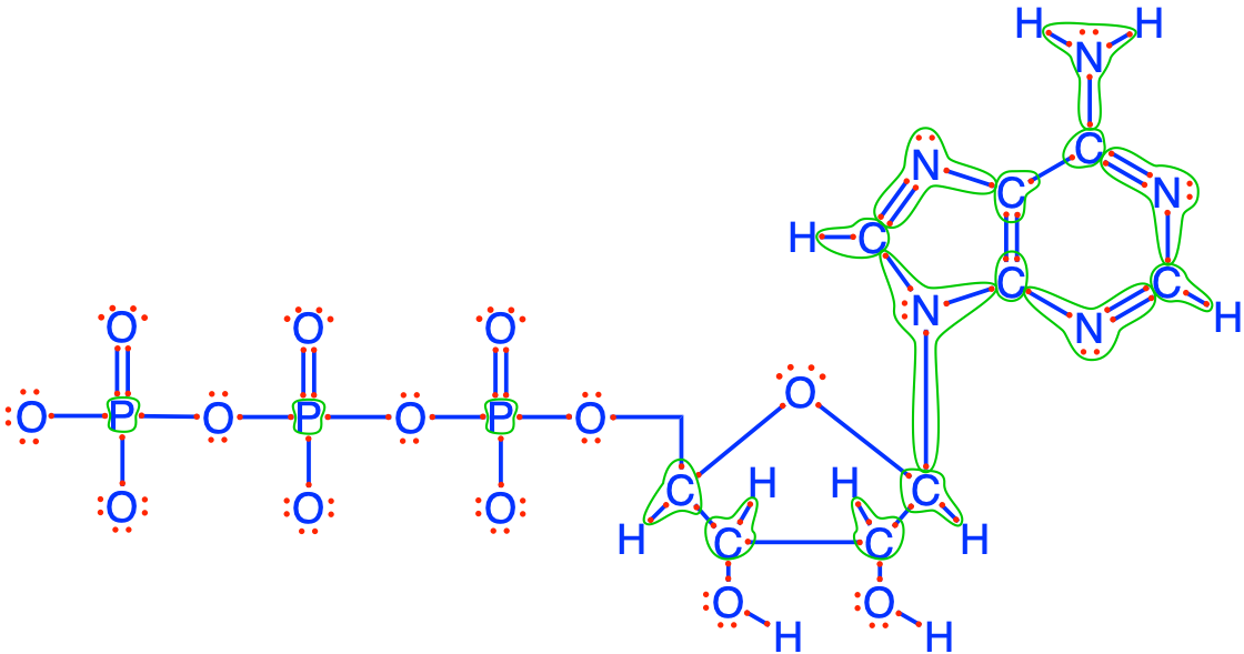 Electron allocation on the ATP molecule showing the number of electrons stored on the C (1 to 4), N (always 8), and P (always 0) atoms 
