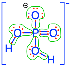 Electron allocation on each of the fully oxidized forms of P, including from left to right Phosphoric acid, dihydrogen Phosphate, hydrogen phosphate, and phosphate , showing that the P atoms have no electrons for themselves