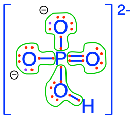 Electron allocation on each of the fully oxidized forms of P, including from left to right Phosphoric acid, dihydrogen Phosphate, hydrogen phosphate, and phosphate , showing that the P atoms have no electrons for themselves