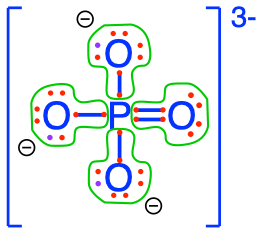 Electron allocation on each of the fully oxidized forms of P, including from left to right Phosphoric acid, dihydrogen Phosphate, hydrogen phosphate, and phosphate , showing that the P atoms have no electrons for themselves