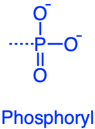 phosphoryl functional groups