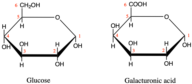 Illustration of the differences between alpha-D-glucose and D-galacturonic acid monomers.