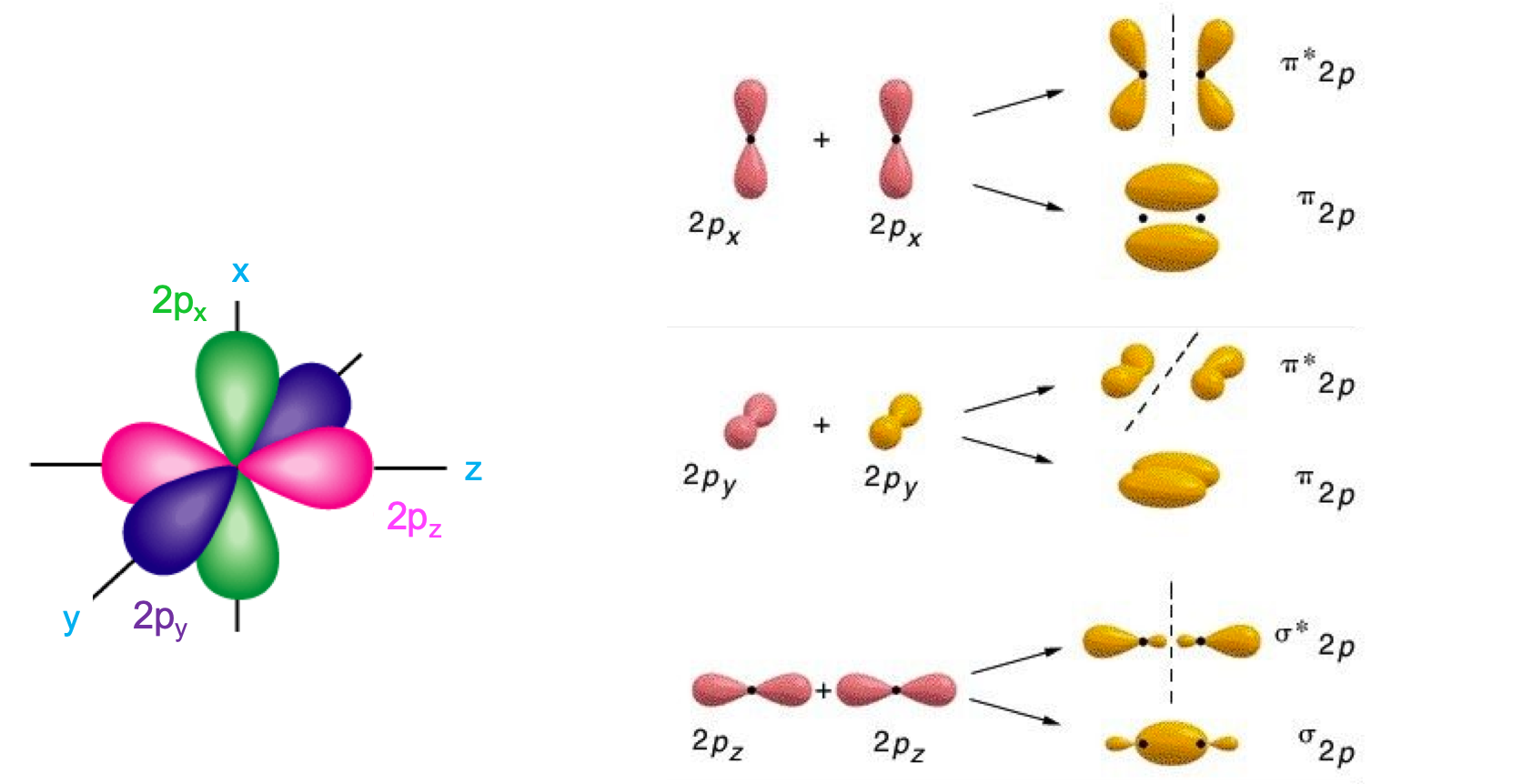 *2p* atomic orbitals (left) and *2p* molecular orbitals as atomic orbitals combine (right). Notice that the combination of *2p* orbitals generate three bonding and three antibonding molecular orbitals. The *2p~z~* orbitals combine to form a *&sigma;~2p~* and *&sigma;*~2p~* orbitals, while the *2p~x~* and the *2p~y~* combine to form two *&pi;~2p~* and *&pi;*~2p~* molecular orbitals