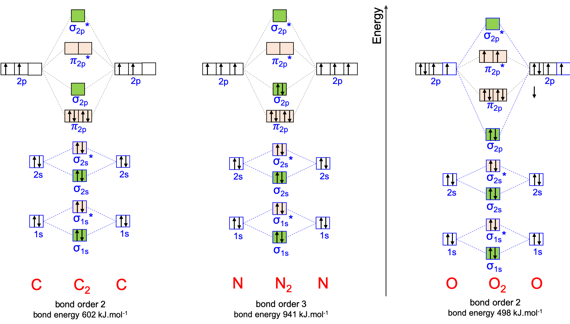 Molecular orbital diagrams for homonuclear diatomic molecules for C~2~, N~2~, and O~2~, as well as the bond order and the bond energy