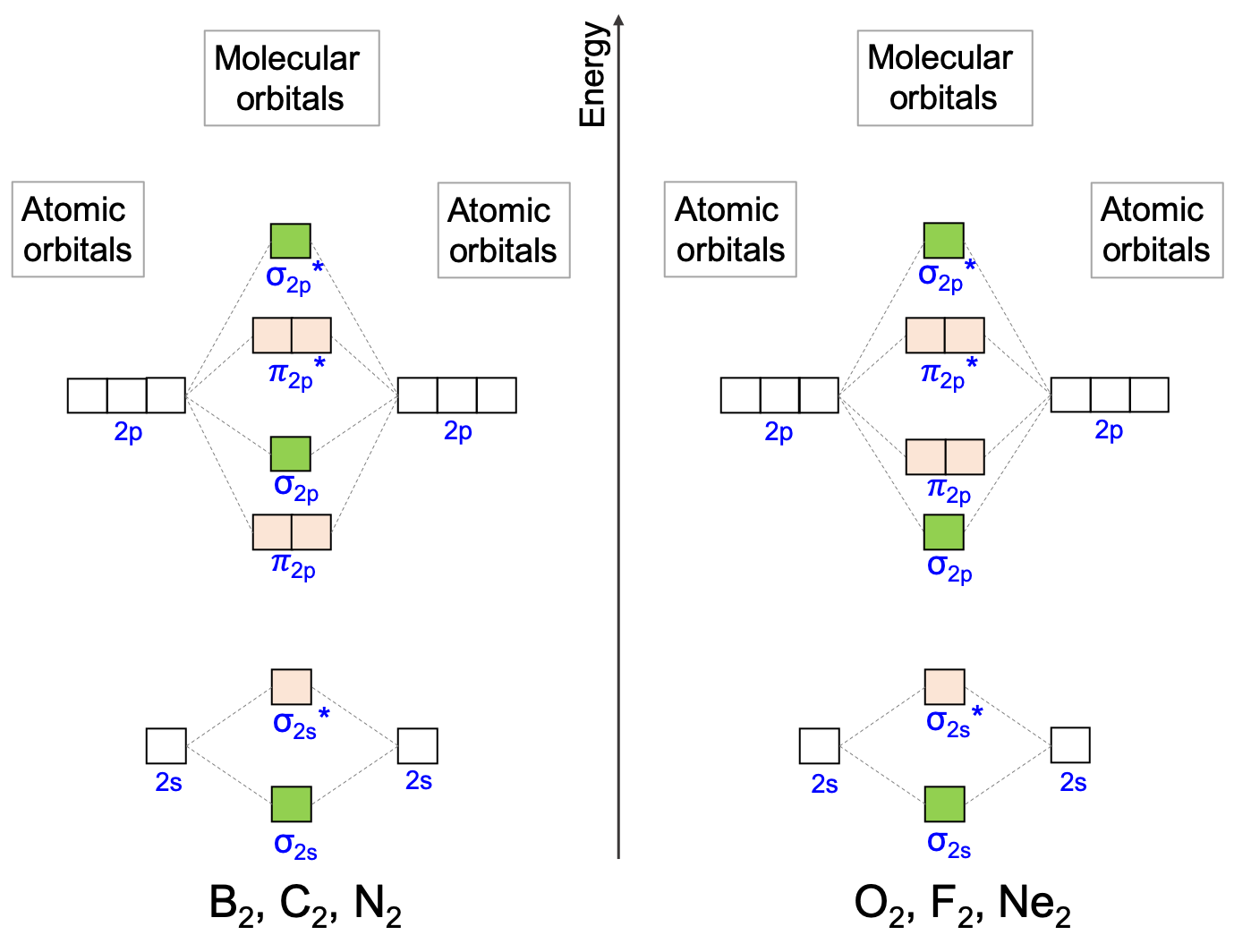 Molecular orbital diagrams for homonuclear diatomic molecules for the second period. The bonding *&sigma;~2p~* and *&pi;~2p~* orbitals level of energy are a little different from B~2~, C~2~, and N~2~ to those of O~2~, F~2~, and Ne~2~