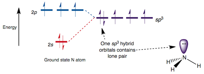 Orbital configuration for ammonia, NH~3~. Each N–H σ-bonding orbital, containing 2 electrons, is formed from a N **sp^3^** hybrid orbital and a H **1s** orbital. The remaining lone pair of electrons occupies the fourth tetrahedral position producing a pyramidal structure. Obtained freely under the Creative Commons [Attribution-Share Alike 4.0 International license](https://creativecommons.org/licenses/by-sa/4.0/deed.en)