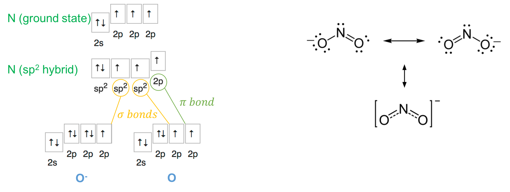 Orbital hybridization of nitrogen for the nitrite molecule, and the even spread of the &pi; bond