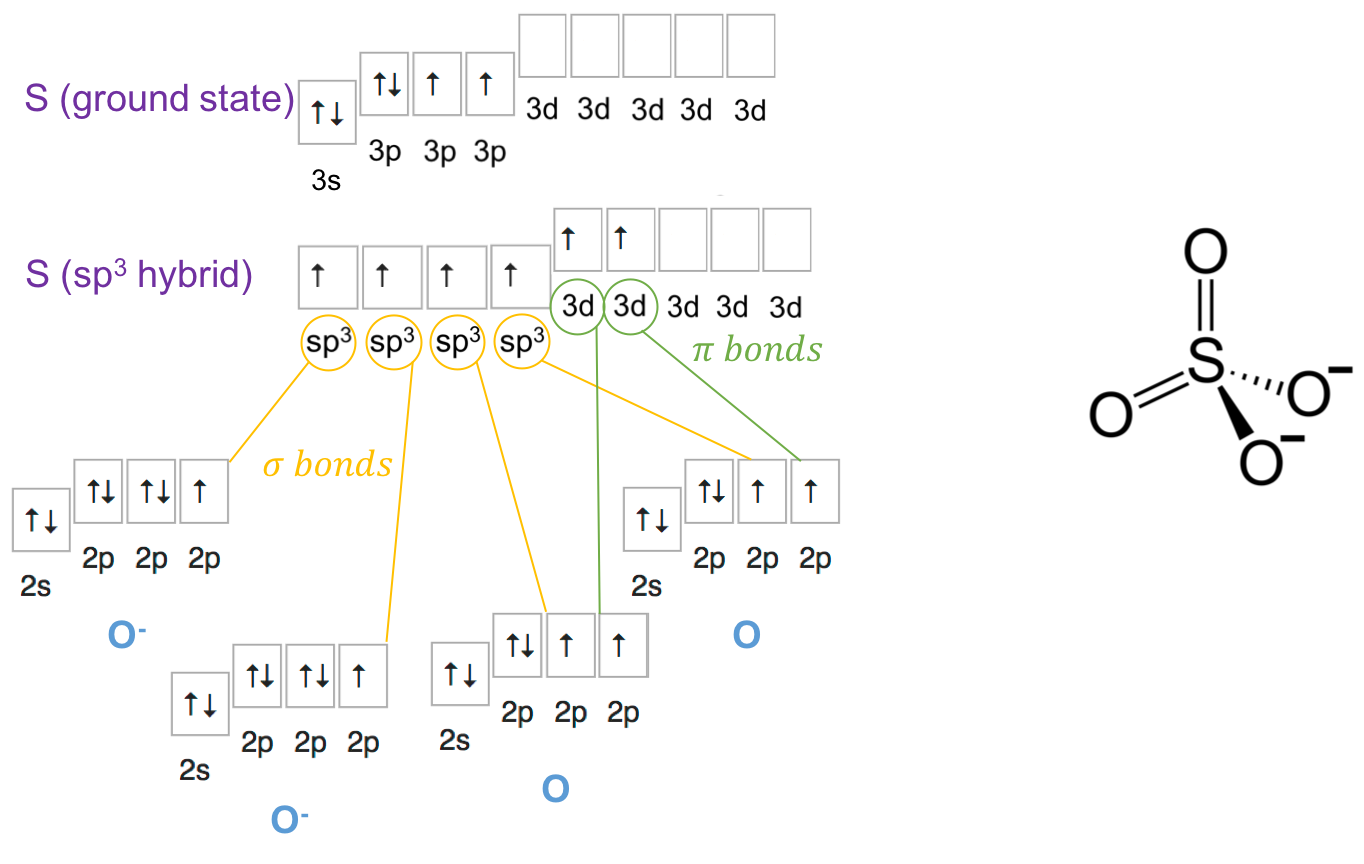 Orbital configuration for ammonia, SO~4~^2-^. Each S–O &sigma;-bonding orbital, containing 2 electrons, is formed from a S **sp^3^** hybrid orbital and a O **2p** orbital. The two &pi; bonds are formed from the **3d** orbitals and the **2p** orbitals of the uncharged oxygen atoms