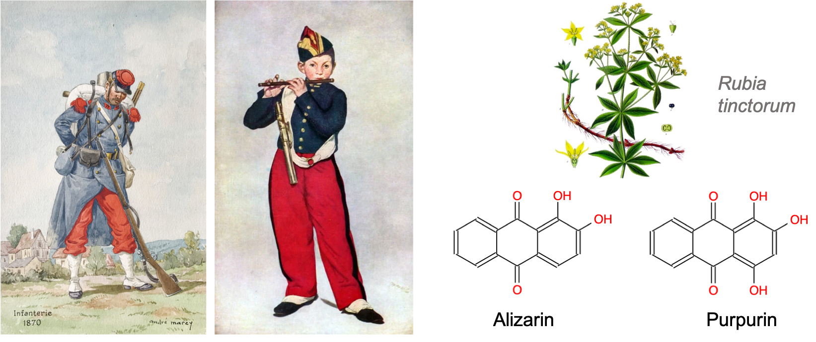The red alizarin and purpurin anthraquinones have been extracted from the madder plant roots (*Rubia tinctorum L.*) since Antiquity and used worldwide to dye fabric in red since the 1820s. The French soldier uniform pants were dyed in 'madder red' (*'rouge garance'* in French) for nearly a century until world war I. The *fifer player* (*Le joueur de fifre* in French) is a famous painting from Édouard Manet that shows well red rendered by alizarin