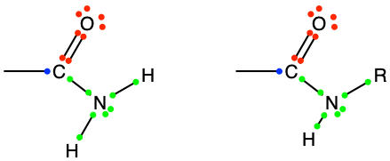 Generic amide functional groups, with the allocation of the electrons to oxygen, nitrogen, and carbon atoms. 