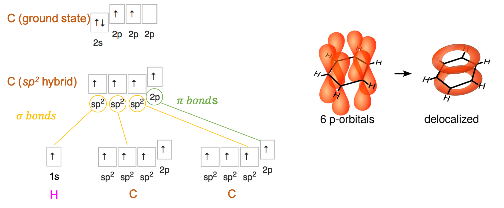 Benzene **sp^2^** and **p** orbitals delocalization. Orbital drawning after Vladsinger, https://commons.wikimedia.org/w/index.php?curid=7531044