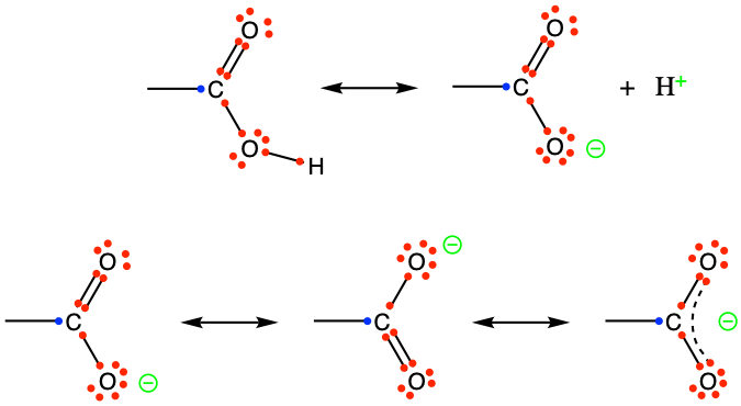 Generic carboxyl functional group with the allocation of the electrons to oxygen and carbon atoms (top reaction), and delocalization of electrons on carboxylate giving carboxylates relative stability for 6 < pH < 8