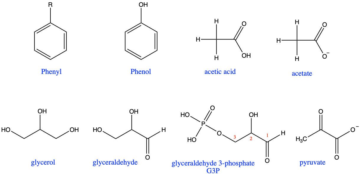 Very common molecules and radicals that have special names in addition to the IUPAC ones