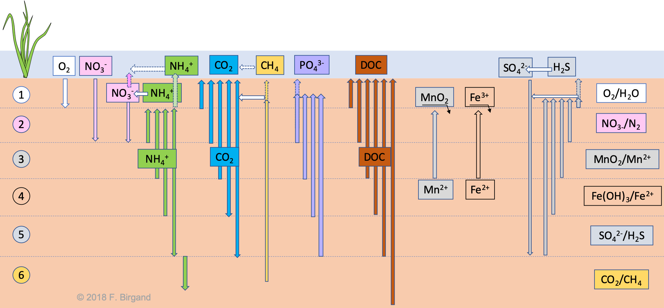 Diffusion fluxes of electron acceptors and all other soil diagenesis processes of a theoretical layered wetland soil