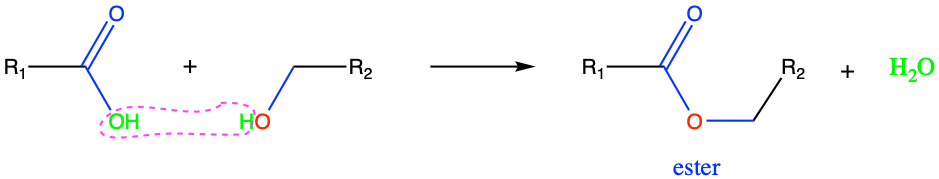 Esterification: condensation reaction between a carboxylic acid with an alcohol