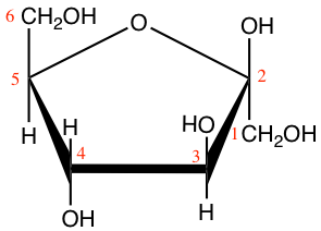 Cyclic structure or Haworth projection of alpha-D-glucopyranose (alpha-D-glucose; left) and beta-D-fructofuranose (beta-D-fructose; right)