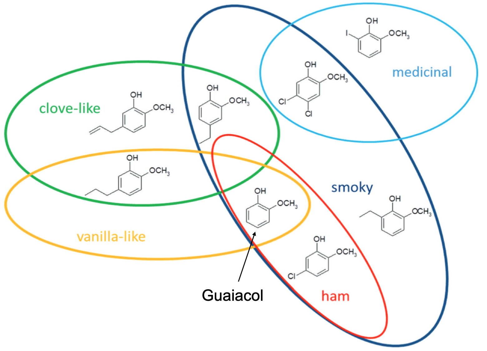 Guaiacol and alkyl, alkenyl, and halogenated derivatives have ham, vanilla-like, clove-like, medicinal, or smoky odors. [after @Ghadiriasli2019-up]