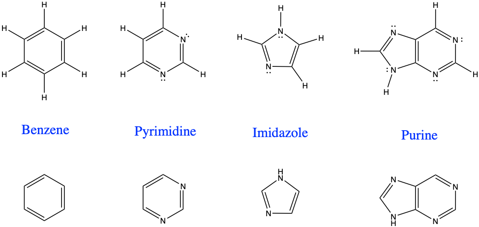 Homoarene benzene and three heteroarenes or heterocyclic hydrocarbons, including pyrimidine, imidazole, the combination of both forming purine. (with the H added, top, and without the H, bottom)