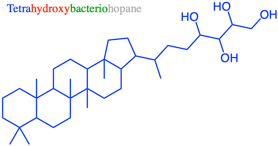 Tetrahydroxybacteriohopane, the most abundant hopanoid in  bacteria and other prokaryotic organisms, has very similar functions to those of sterols in the membranes of animals and plants in that they can intercalate into phospholipid bilayers and modulate the fluidity of membranes by interacting with their complex lipid components