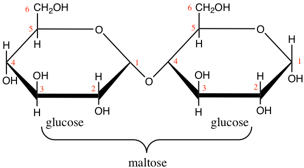 Lactose and maltose dissaccharides molecular formulae 