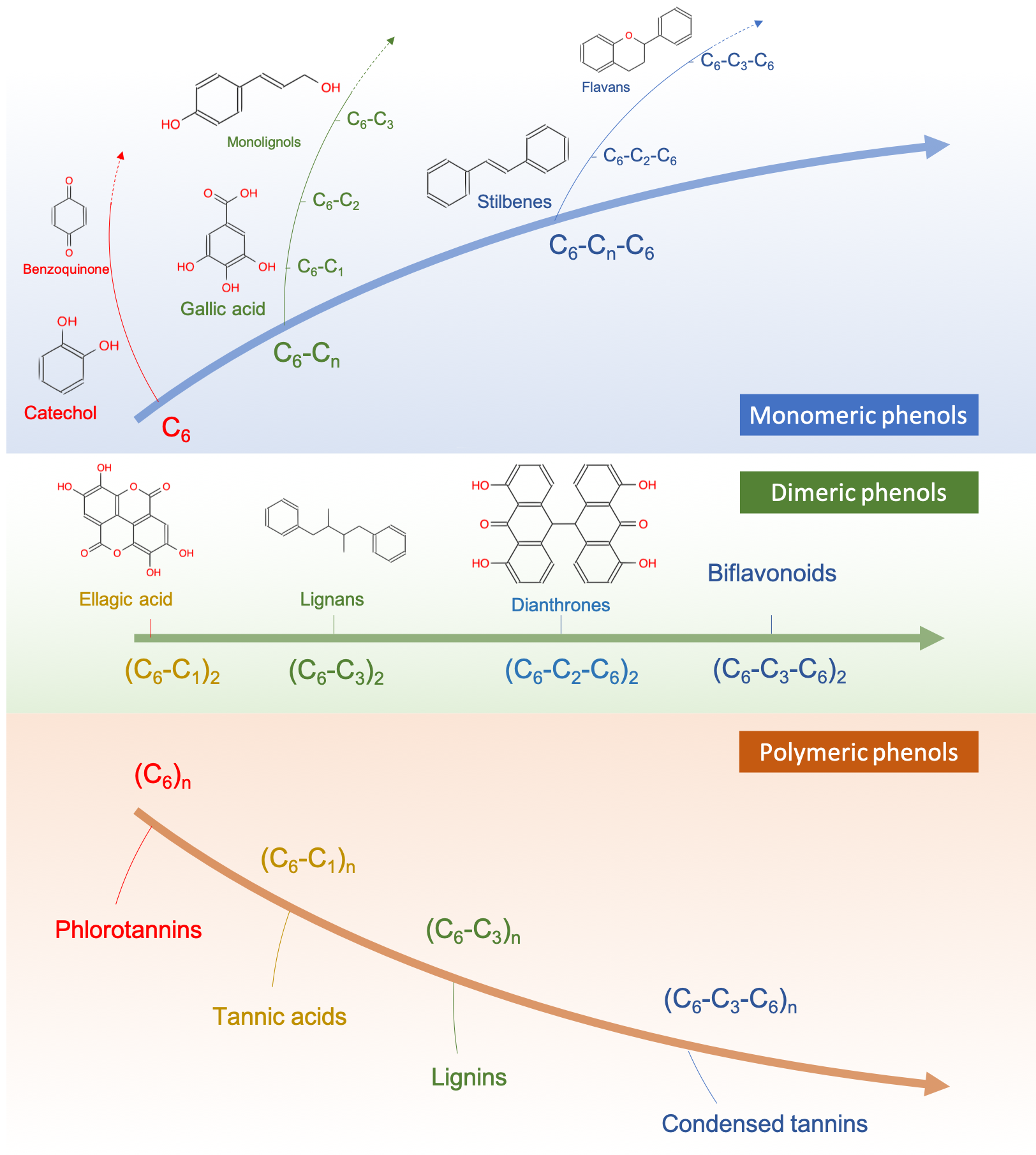 Attempt to represent the different classes of phenolic compounds existing in nature with some examples illustrated. Phenolics resulting from the condensation of separate monomers are not represented in the figure to simplify the classification