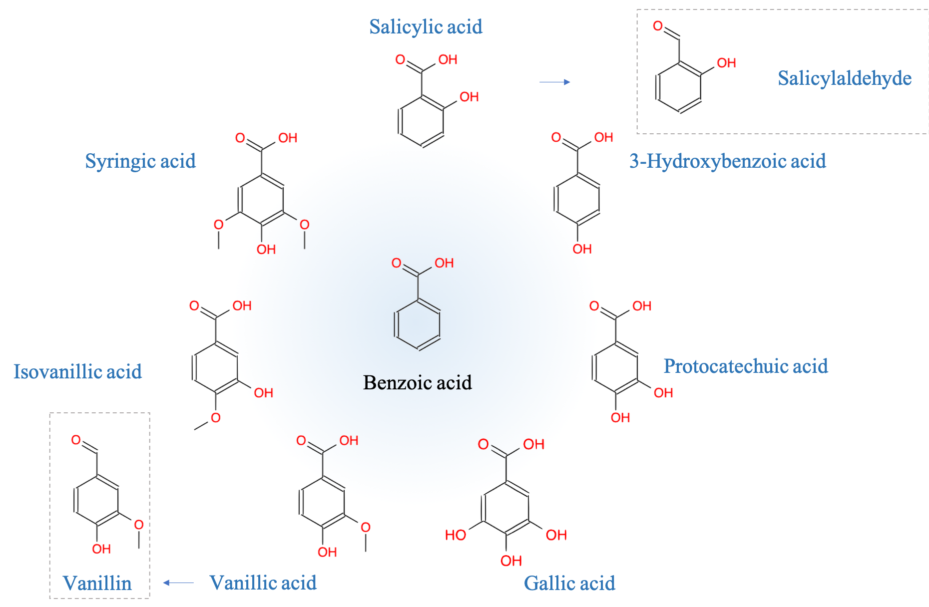 Examples of monomeric phenols in C~6~-C~1~ configurations differing from the number and placement of hydroxy and methoxy groups on the benzene ring (non-exhaustive list)
