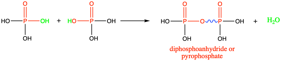 Condensation reaction between two phosphates results in the formation of a phosphoanhydride functional group. The resulting two phosphate molecule is called a pyrophosphate. The skwiggly blue line has been added to show that the hydrolysis of the anhydride bond releases energy
