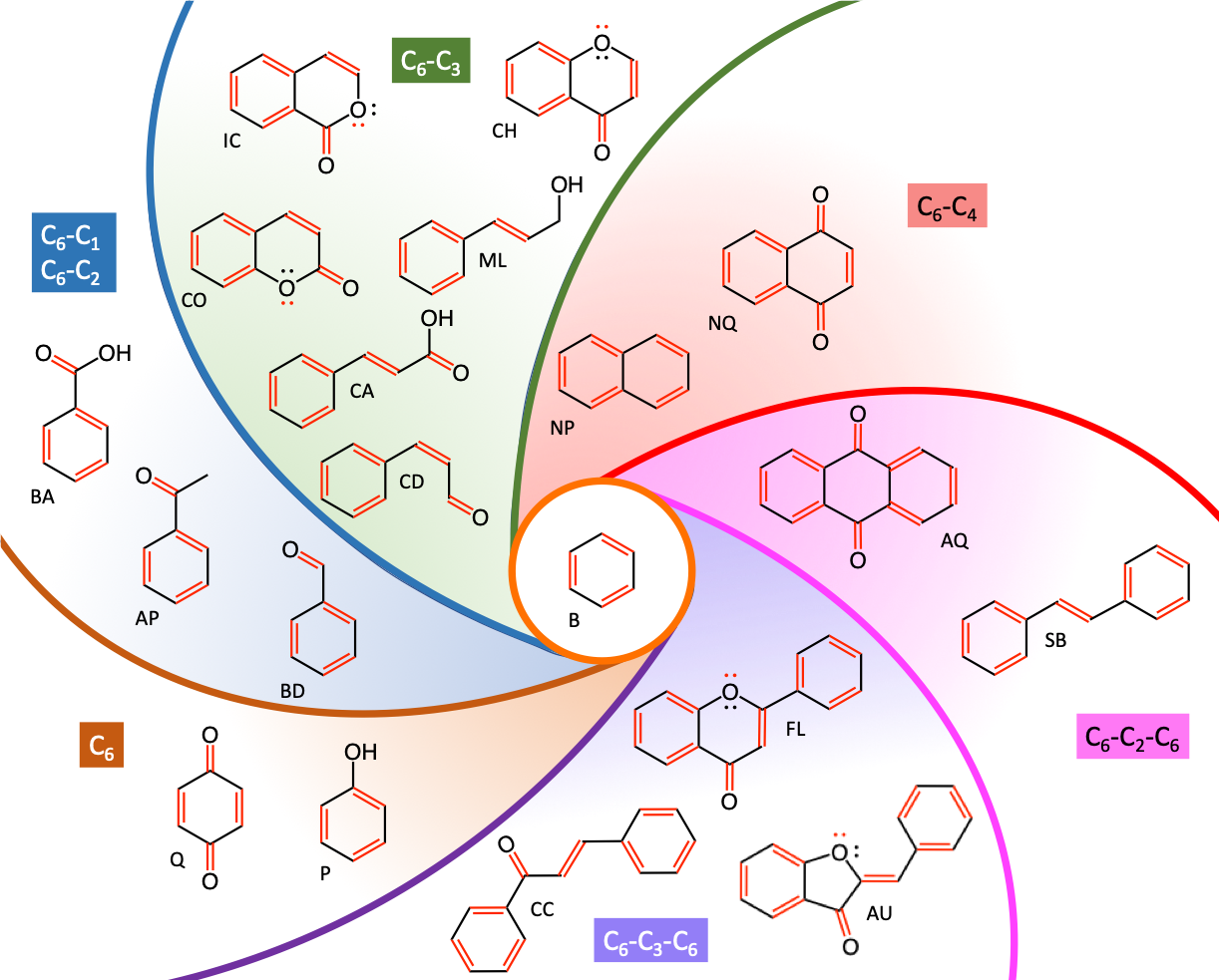 The secret to the structure and function of phenolics: maintaining conjugated double bonds and electronic resonance among atoms of C~6~, C~6~-C~n~, and C~6~-C~n~-C~6~ monomeric phenols. All double bonds have been illustrated in red, as well as the lone pair of electrons on the oxygen atoms, which participate in the electronic resonance of the phenolics compounds. For clarity purposes, only the phenolic skeleton have been illustrated. (B-Benzene; P-Phenol; Q-Quinone; BD-Benzaldehyde; AP-AcetoPhenone; BA-Benzoic Acid; CA-Coumaric Acid; CD-Coumaric Aldehyde; CO-Coumarin; IC-Iso-Coumarin; ML-MonoLignol; CH-Chromone; NP-Naphtalene; NQ-Naphtoquinone; AQ-Anthraquinone; SB-Stilbene; AU-Aurones; FL-Flavonoid; CC-Chalcone)