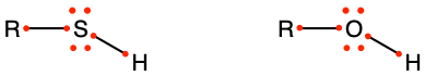 Thiol group (left) is the analogue of the hydroxyl group of an alcohol (right)