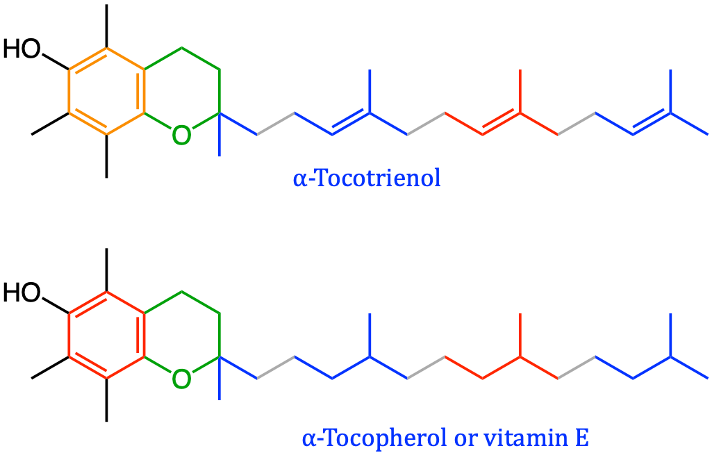 Tocol-based isoprenoids including vitamin E, essential for animals and humans, and acting as important antioxidant molecules