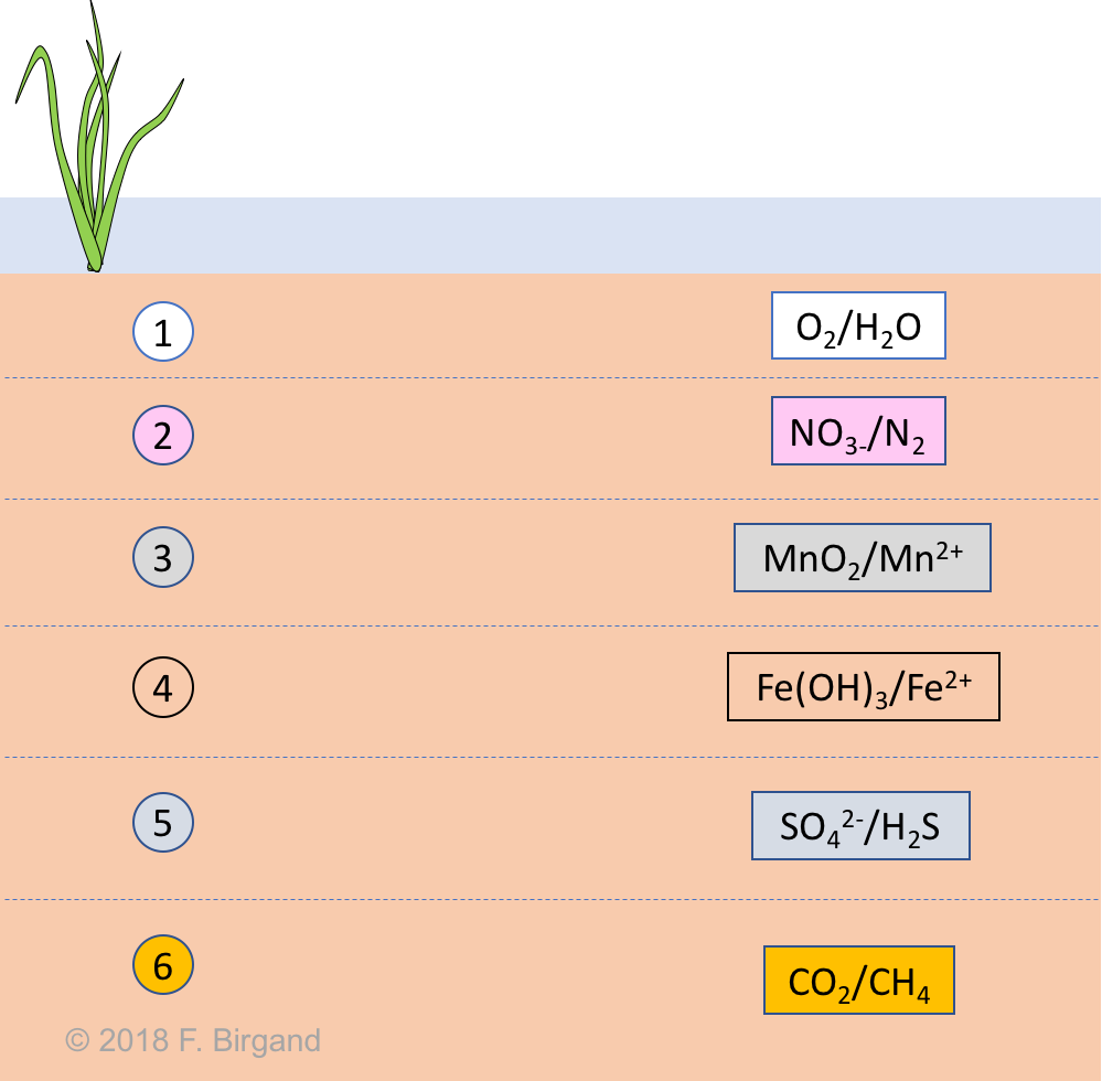 Theoretical spatial layering of wetland soils corresponding to the electron acceptor available, *not too long after flooding*. In each layer, the oxidizing and the reduced forms are illustrated as oxidizing/reduced. *Not to scale*